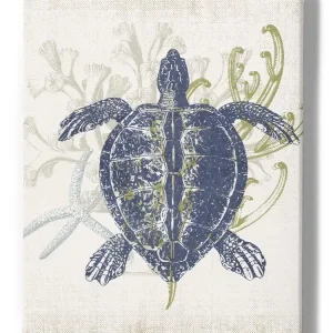 Coastal Ephemera Iii Wall Art -Victoria Barnes Designs